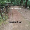 moonlight sun