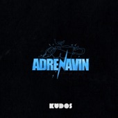Adrenavin 2023 (Hjemmesnekk) (feat. Adrenavinkick) artwork