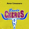 Amor Limosnero - Single