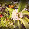 Soured