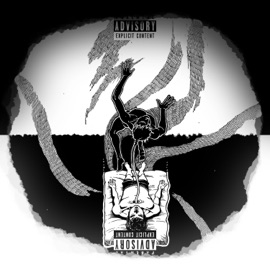 Carabina (feat. Rich Boy) Haku.flac