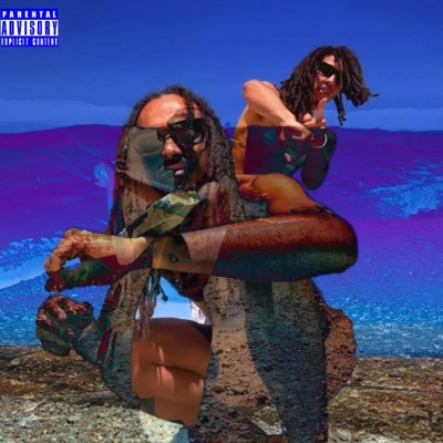 Simulation (feat. Ryan Hawaii) - Single