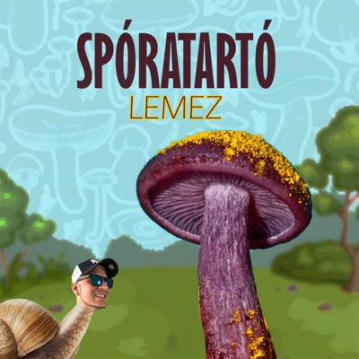 SPÓRATARTÓ LEMEZ