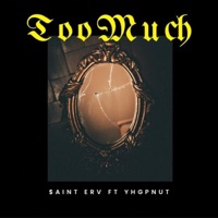 Too Much (feat. YHG Pnut) - Single - $aint Erv