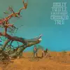 Molly Tuttle & Golden Highway - She'll Change