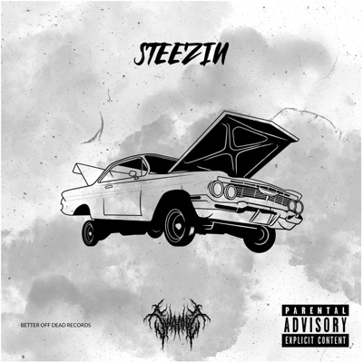Steezin - Single