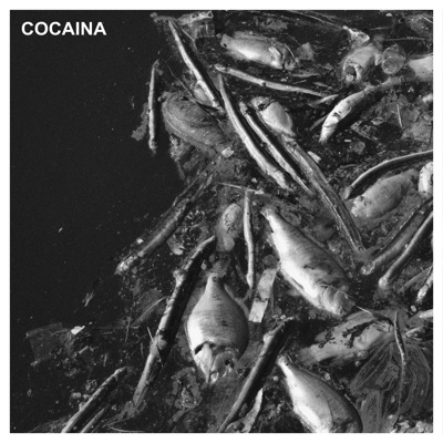 Cocaina - Luca coi baffi