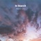 In Search - Wander Calm lyrics