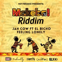 Feeling Lonely (feat. Jah Cow & El Bicho) - Single - Hot78Records