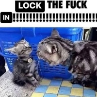 wtf (feat. hella stitches) - Single - zlare