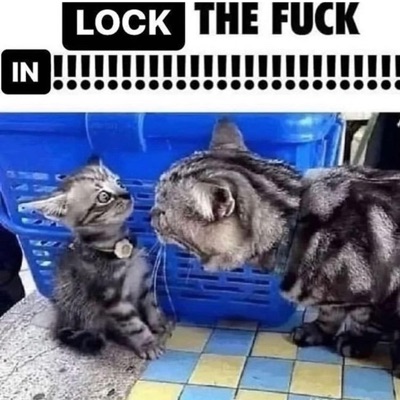 wtf (feat. hella stitches) - Single