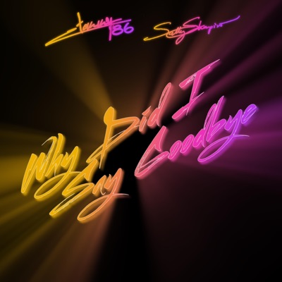 Why Did I Say Goodbye (The Remixes) - EP