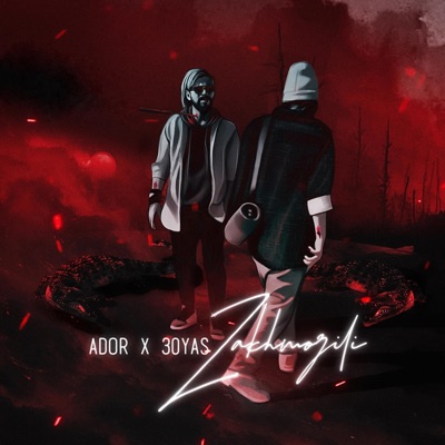 ZakhmoZili (feat. 30yas) - Single