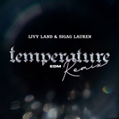 Temperature (Edm Remix) artwork