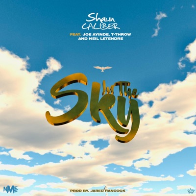 In the Sky (feat. Joe Ayinde, T-Throw & Neil Letendre) - Single
