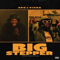 BIG STEPPER (feat. Vizra) - Single - 3OG
