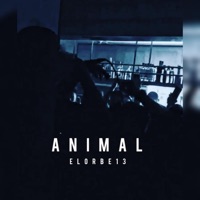 ANIMAL - Single - EL ORBE 13