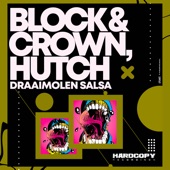 Draaimolen Salsa artwork