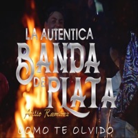 Como Te Olvido - Single - La Auténtica Banda de Plata