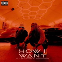 How I Want (feat. Marcolen Hayes) - Single - Gill Graff
