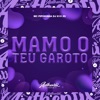 Mamo o Teu Garoto (feat. MC Pipokinha) - Single