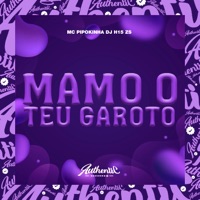 Mamo o Teu Garoto (feat. MC Pipokinha) - Single - DJ H15 ZS