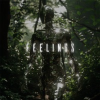 Feelings - Single - Meedas & Flipex
