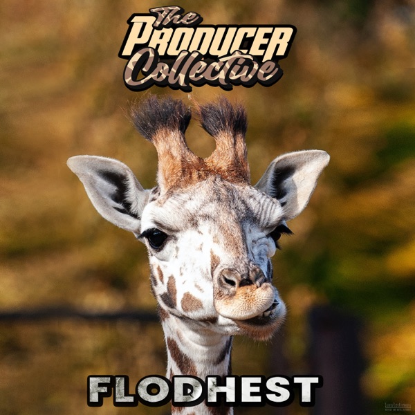 DOWNLOAD++ The Producer Collective - Flodhest ++ALBUM MP3 ZIP++