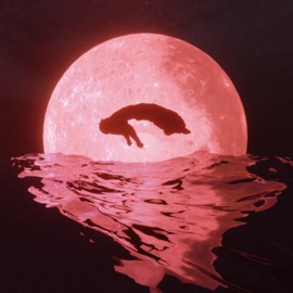 LOVE TRAGEDY (feat. ttslime) Dimes