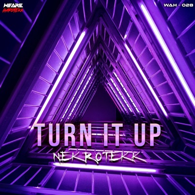 Turn It Up - Single
