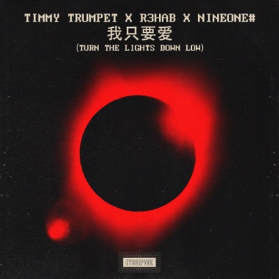 Turn The Lights Down Low (Chinese Version) - Single