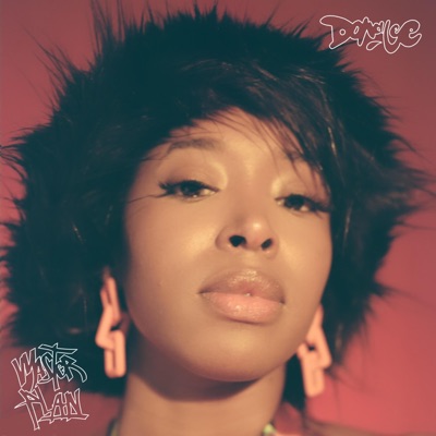 Master Plan - Single