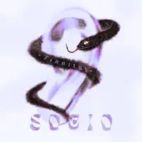 Tinnitus — Socio