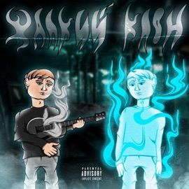 Жалкий клон СКВОНК