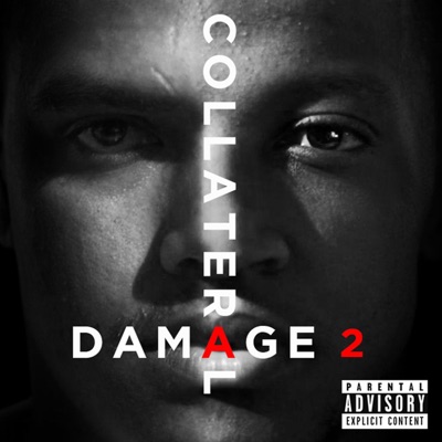 Collateral Damage 2 - Single