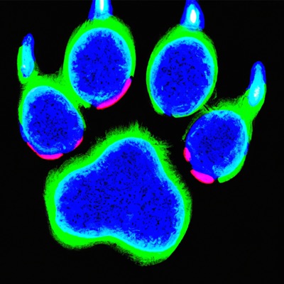 Luna Dub (Olympic Pool Maintenance League Remix) - Single