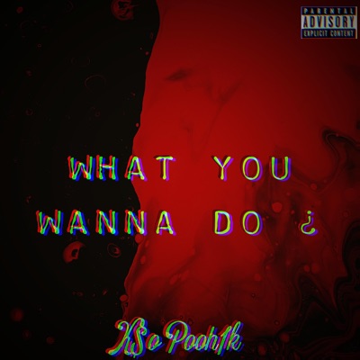 What You wanna do ? - Single
