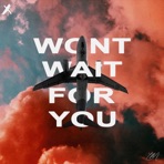 won't wait for you - Single