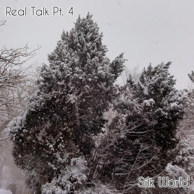 Real Talk, Pt. 4 - Single