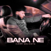 Bana ne artwork