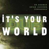 It's Your World (Dub) [feat. Brian Jackson] - Single - Fernandha