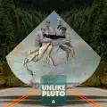 WHY