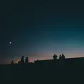 Who We Are