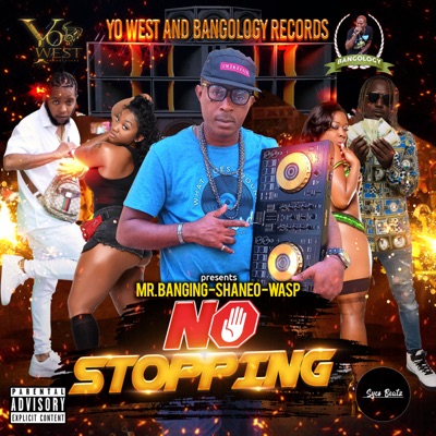No Stopping (feat. Yo West, Shane O & Wasp) - Single