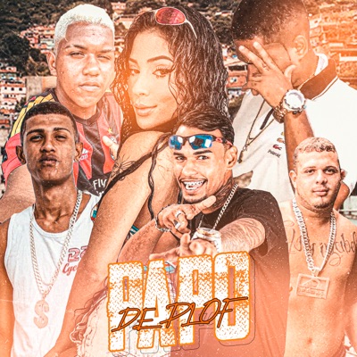 Papo de Plof (feat. Mc Nego bala, Robito ZN & Crystal Castro) - Single