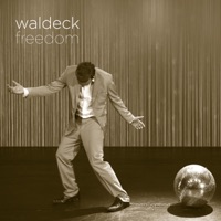 Freedom (feat. Joy Malcolm) [Soul Goodman Remix] - Single - Waldeck