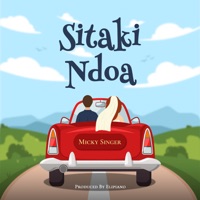 Sitaki Ndoa - Single - Micky Singer
