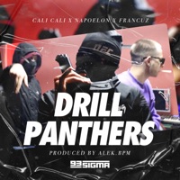 Cali Cali, Napoleon & Francuz - Drill Panthers