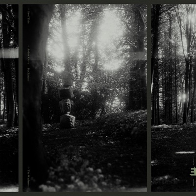 The Wayfarers (feat. Audun Kleive & Per Zanussi)