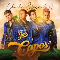 Yo Te Amo — Agrupación Los Capos